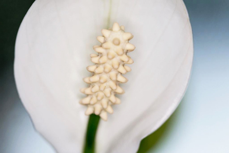 sacred-intimacy-march-2019